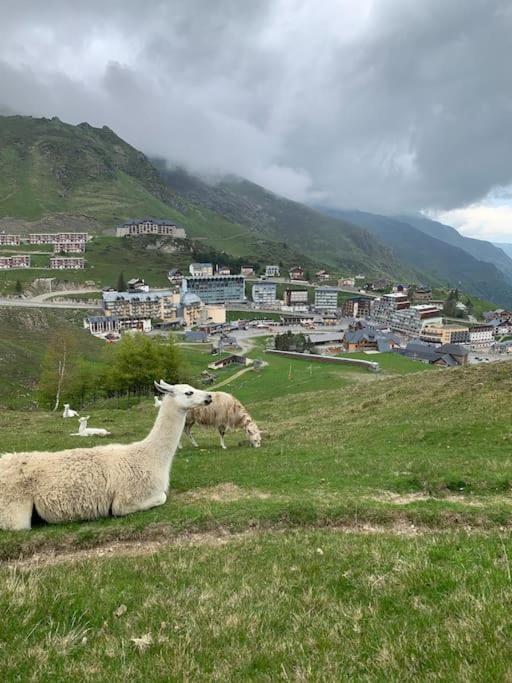 Ferienwohnung Appt Chaleureux 2 - 4 Personnes Au Pied Des Pistes - Draps Et Linges De Toilette Non Fournis - Menage Non Inclus La Mongie Exterior foto